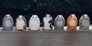 ΠΑΥΛΙΝΑ ΠΑΜΠΟΥΔΗ: Δόκιμοι, δοκιμασμένοι, δοκιμαζόμενοι (με γάτες)