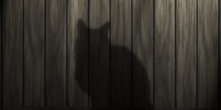 ΚΩΣΤΑΣ ΠΕΡΔΙΚΗΣ: Ο Μαύρος Γάτος