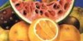 Έφη Φρυδά:  Strangefruit / Ένας καθρέφτης 