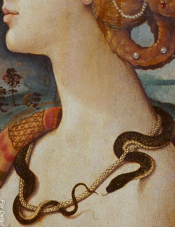 You are currently viewing Ψαλμός στο φίδι, Μάργκαρετ Άτγουντ – Μετάφραση: ‘Εφη Φρυδά