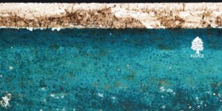 Χρυσάνθη Ιακώβου: “Η σκόνη που βαραίνει τα ράφια μας”, της Ελένης Σαμπάνη (Εκδόσεις Κέδρος, 2018)