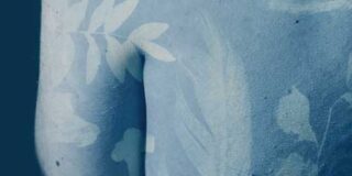 Ούρσουλα Φωσκόλου: Η Παναγία των εντόμων, νουβέλα, εκδ. Κίχλη