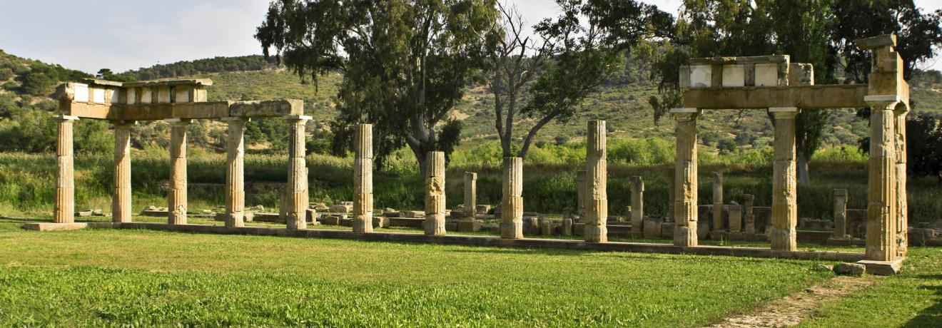 Read more about the article Χρ. Δ. Αντωνίου: Σκέψεις με αφορμή μιαν επίσκεψη στον αρχαιολογικό χώρο της Βραυρώνας.