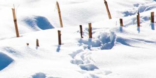 Νίκος Προσκεφαλάς: Μια ανάγνωση στο βιβλίο του Παναγιώτη Χατζημωυσιάδη «Το χιόνι των αγράφων» Κίχλη, 2021