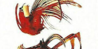 Ζωή Γαβριηλίδου: Πασχάλης Κατσίκας, Τα κόκκινα πουλιά (ποίηση), εκδ. Δρόμων, 2022