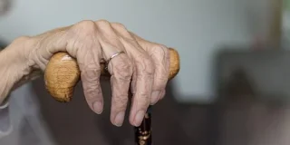 Δανάη Τσουλιά-Χασακή:  Γιαγιά  του καημού  