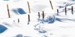 Ελένη Γερούση, Παναγιώτης Χατζημωυσιάδης, «Το χιόνι των Αγράφων» Εκδόσεις Κίχλη