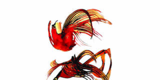 Μένη Πουρνή: Πασχάλη Κατσίκα.  Τα κόκκινα πουλιά, Εκδόσεις Δρόμων