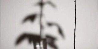 Ευάγγελος Ι. Τζάνος: ΘΥΜΑΜΑΙ ΠΩΣ ΤΟΝ ΑΓΑΠΟΥΣΑΜΕ ΟΛΟΙ