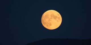 Παυλίνα Παμπούδη: πέντε τρελαμένα τραγουδάκια με φεγγάρι…