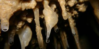 Θοδωρής Σαμαράς: σταλαγμός