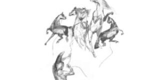 Ανθούλα Δανιήλ: Αντώνης Σανουδάκης-Σανούδος  Τα άλογα καλπάζουν αχαλίνωτα  Σχέδιο Εξωφύλλου –Εικονογράφηση Μανώλης Σαριδάκης.  Εκδ. Ταξιδευτής, Μουσείο Λυχνοστάτης, 2023