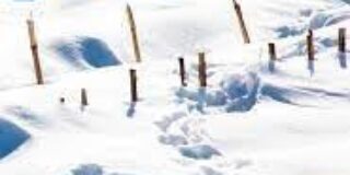 Γεωργία Μακρογιώργου:  Το χιόνι των Αγράφων του Παναγιώτη Χατζημωυσιάδη, Κίχλη. 2021