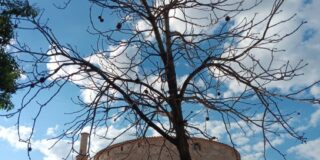 Κωνσταντίνος Μπούρας: «Ιχνογραφίες»