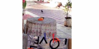 Γιάννης Στούπας: για τις Αδιάβροχες Λέξεις της Ελένης Αρτεμίου-Φωτιάδου (Εκδόσεις Μανδραγόρας, 2024)