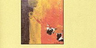 Φωτεινή Βασιλοπούλου: Η Δραπέτης της στατικότητας. Μια αναγνωστική ματιά στην ποιητική συλλογή: Η δραπέτης, Νίκος Σαββάκης, Γαβριηλίδης, 2010 Αριθμός σελίδων: 67 ISBN-13: 9789603365167 // ISBN-10: 9603365165