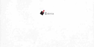 Πωλλέτα Ψυχογυιοπούλου: Χριστίνα Λιναρδάκη ΣΚΠ, Ενάντια, 2024 ISBN: 978-618-86073-7-8