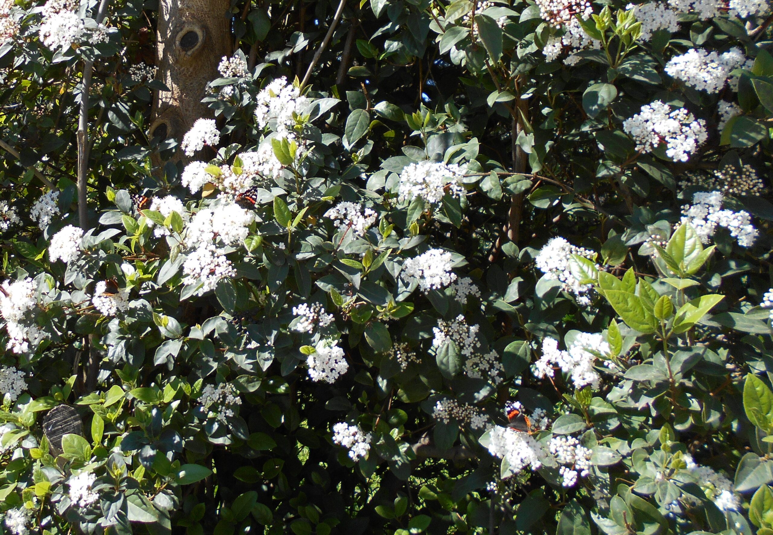 Read more about the article Βάλτερ Πούχνερ: Σκέψεις μικρές για θέματα μεγάλα ΙΙ