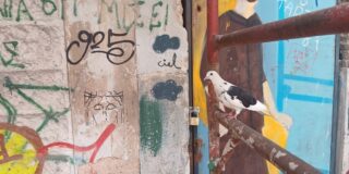 Κωνσταντίνος Μπούρας: Α-ν-απόλ(α)υση