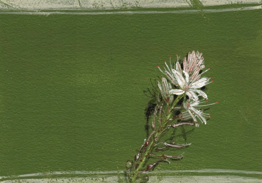 Read more about the article Κατίνα Βλάχου: Παραείναι σύντομη η ζωή