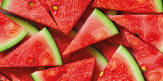 Κώστας Τραχανάς: Γ. Μακριδάκης «Στη σκιά του όρους Όχη» Εκδόσεις Εστία 2025 σελ.213