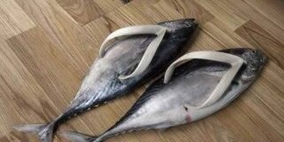 Κλεονίκη Δρούγκα: Το Ρεπό του Αυγούστου