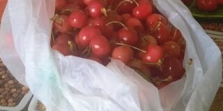 Βάλια Ζαπώνη:  Τα κεράσια και η σπασμένη στάμνα