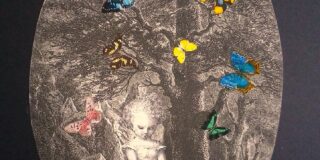 Έφη Φρυδά: Το ερώτημα