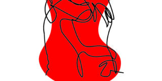 Κώστας Ζαφείρης: Μιχάλης Μελαχροινούδης, «Σύσσωμος», εκδ. Παρατηρητής της Θράκης