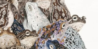 Χρίστος Δάλκος: Ἡ ἐνδοσυγκριτικὴ ἐτυμολόγηση τοῦ ζαβλακώνω /  ζαμπλακώνω: στὶς ρίζες τῆς γλωσσικῆς ὀντογένεσης