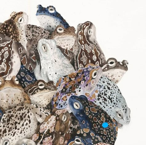 Read more about the article Χρίστος Δάλκος: Ἡ ἐνδοσυγκριτικὴ ἐτυμολόγηση τοῦ ζαβλακώνω /  ζαμπλακώνω: στὶς ρίζες τῆς γλωσσικῆς ὀντογένεσης