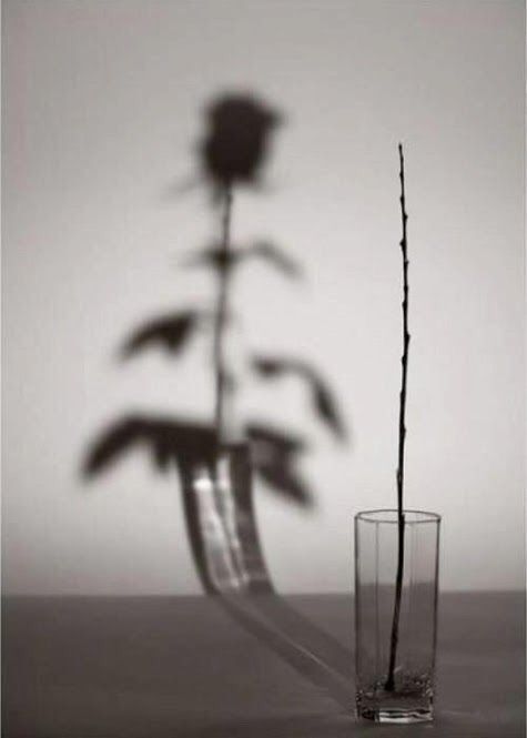 Read more about the article Παυλίνα Παμπούδη: (Από το “Τα χίλια φύλλα”. Απόσπασμα)