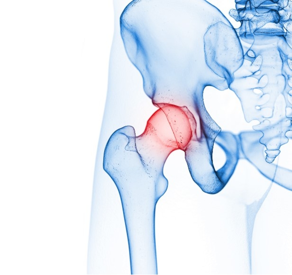 Read more about the article Αρχοντούλα Διαβάτη: ΠΑΝΔΑΙΣΙΑ