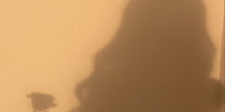 Νίκος Παπάνας: Νυχτερινή επισκέπτρια