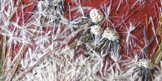 ΒΑΓΓΕΛΗΣ ΦΙΛΟΣ: Τα αχ!