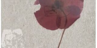 Γιώργος Βοϊκλής: Στέλιου Παππά «Τα πατάκια» (Εκδόσεις Εύμαρος 2025)