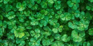 Βάλτερ Πούχνερ: Σκέψεις μικρές για θέματα μεγάλα 13