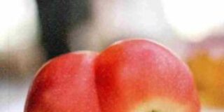 Μάρω Κακαβέλα: Μαρία Δριμή, Τετ-α-τετ. Εκδόσεις ΕΣΤΙΑ ISBN : 978-960-05-1961-7