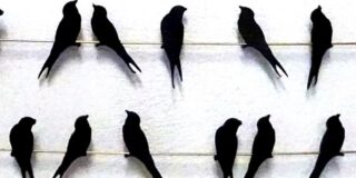 Βάλτερ Πούχνερ: Σκέψεις μικρές για θέματα μεγάλα, (9)