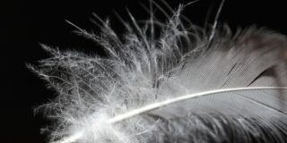  Γιώργος Παπαδήμας:  Τίποτα δικό σου