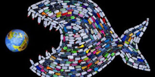 Βάλτερ Πούχνερ:  Γαλάζιος σκουπιδότοπος