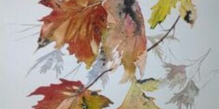 Ζωή Χατζηγεωργίου: τρία ποιηματα παρατήρησης