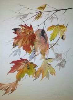 Read more about the article Ζωή Χατζηγεωργίου: τρία ποιηματα παρατήρησης