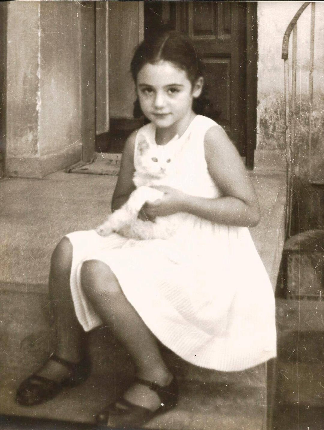 Read more about the article Παυλίνα Παμπούδη: Μια γάτα, ενα αρνί και ένα ινδικό χοιρίδιο σε ποιήματα