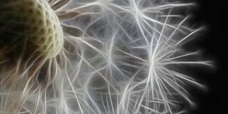 Γιώργος Στόικος: Κρυμμένα ψηφιδωτά