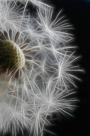 Read more about the article Γιώργος Στόικος: Κρυμμένα ψηφιδωτά