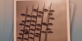 Βάλια Ζαπώνη: Άγγελος Νικολάου, Περπατώντας στην παραλία. Μικρά διηγήματα. Εκδόσεις Νησίδες. 2025.