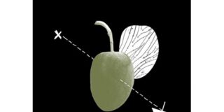 Μαρία Βέρρου: Tom Hillenbrand:  Φονικές ελιές. Μτφρ.: Μιχ. Αθανασιάδης, εκδ. Ποταμός.   ISBN 978-960-545-220-9