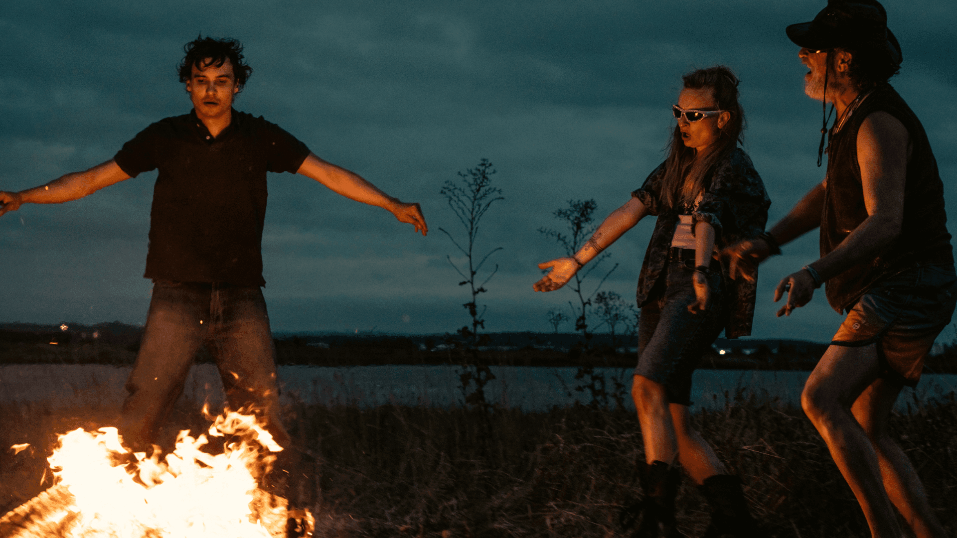 Read more about the article Ελισσαίος Βγενόπουλος: Αχινός του Χάρις Ντίκινσον