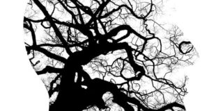 Βαγγέλης Φίλος: Στο παλιό ξέφωτο